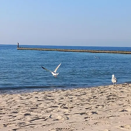 Apartamento Dreamhouse „piaskowy” Ul. Północna 18 C, Wschodnie Darlowko