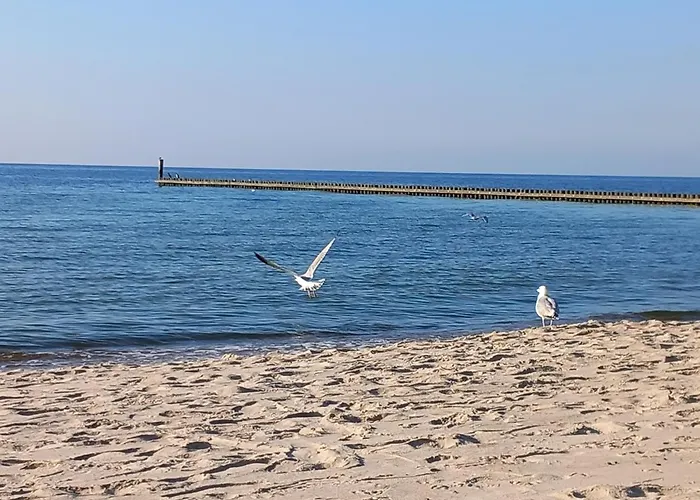 Apartamento Dreamhouse „piaskowy” Ul. Północna 18 C, Wschodnie Darlowko